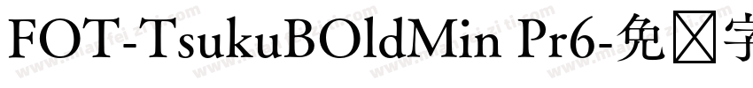 FOT-TsukuBOldMin Pr6字体转换